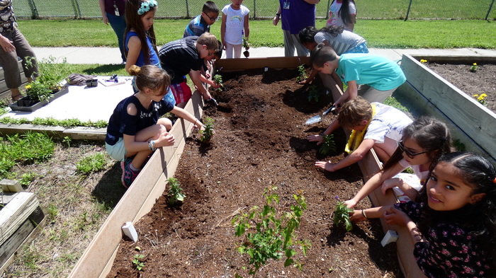 students planting flowers 