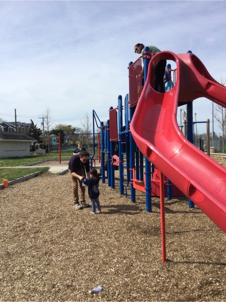 egg drop