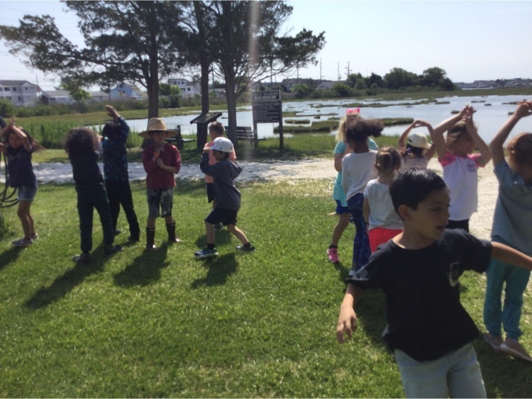 Wetlands